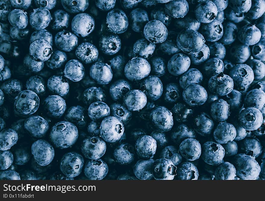 Fresh huckleberry full frame food background.