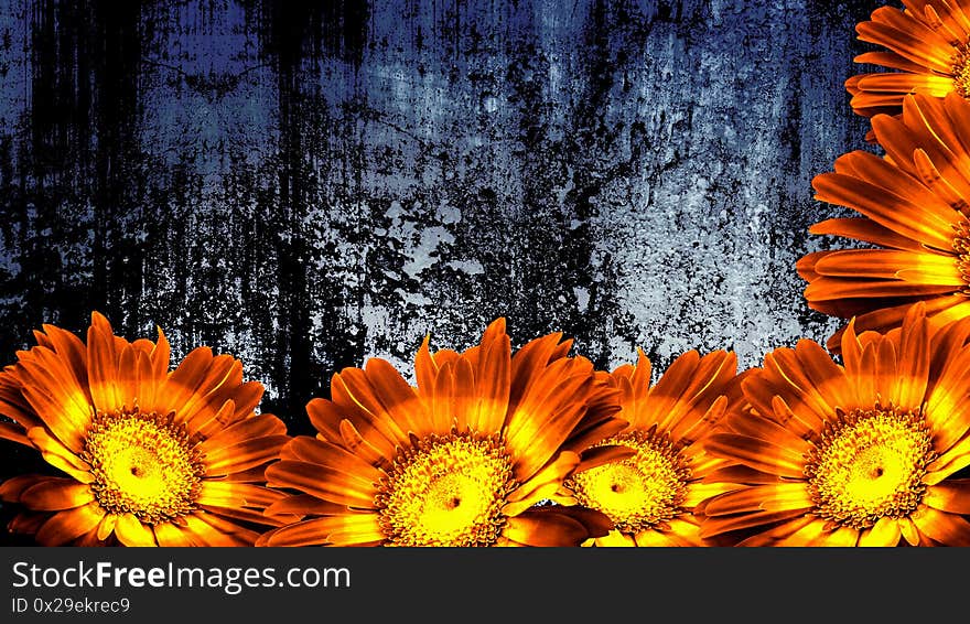 Abstract grunge wall creepy old distressed deep and scratched gerbera wallpaper design. Abstract grunge wall creepy old distressed deep and scratched gerbera wallpaper design.