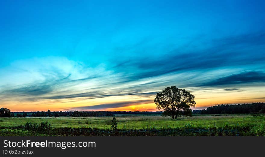 Beautiful sunrise over green field and single tree in a summer morning. Beautiful sunrise over green field and single tree in a summer morning