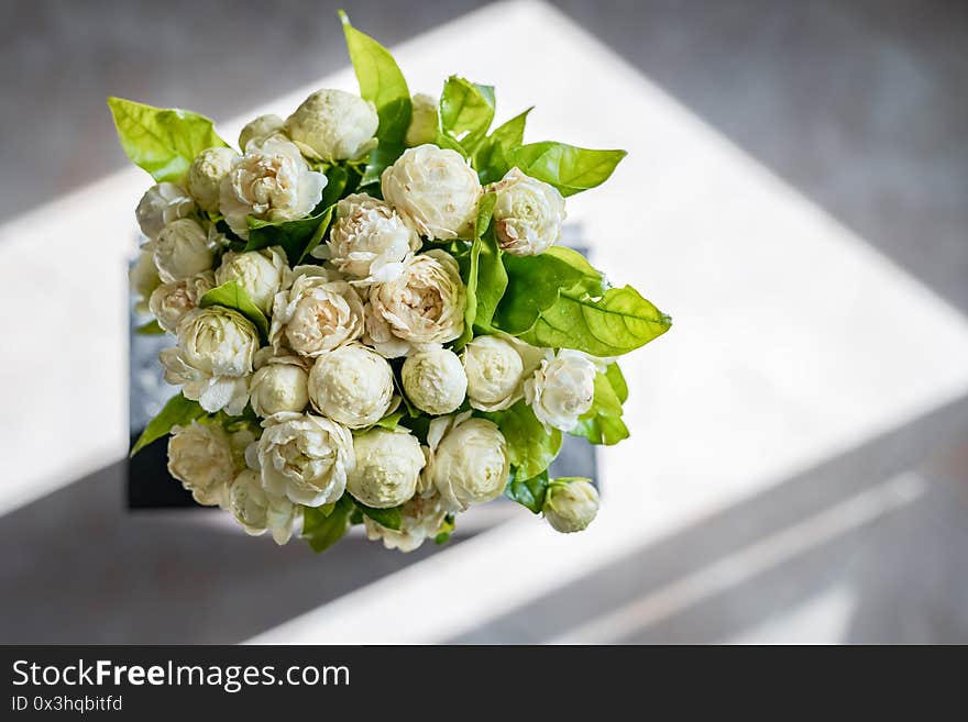 Photos of white jasmine bouquet from above and shadowed background from sunlight