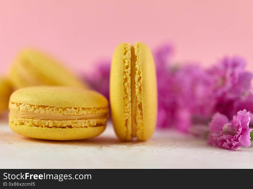 Delicate yellow macarons dessert with pink flowers on pink background, close-up. Delicate yellow macarons dessert with pink flowers on pink background, close-up