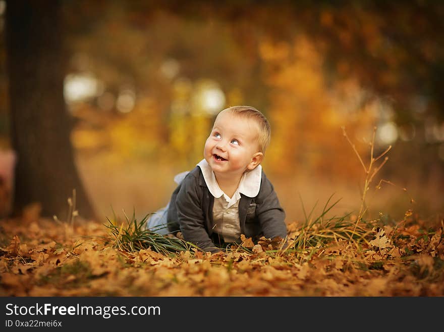 Portrait of toddler little blond boy creeping at the autumn park. Copy space