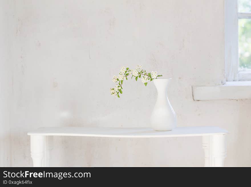 White spirea in vase on white background