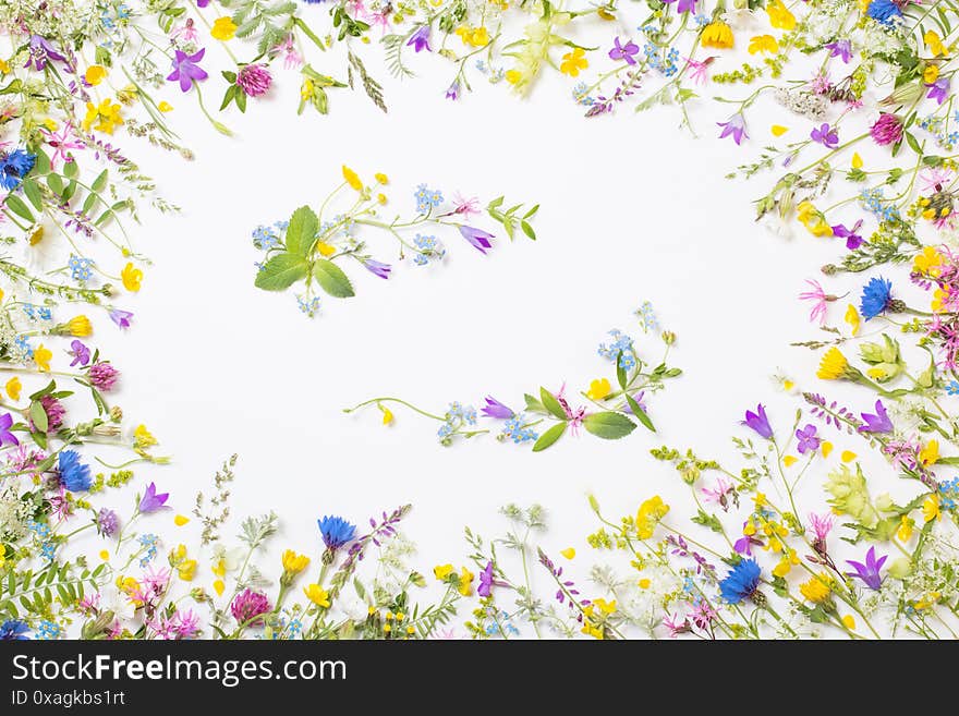 Wild Flowers On White Background