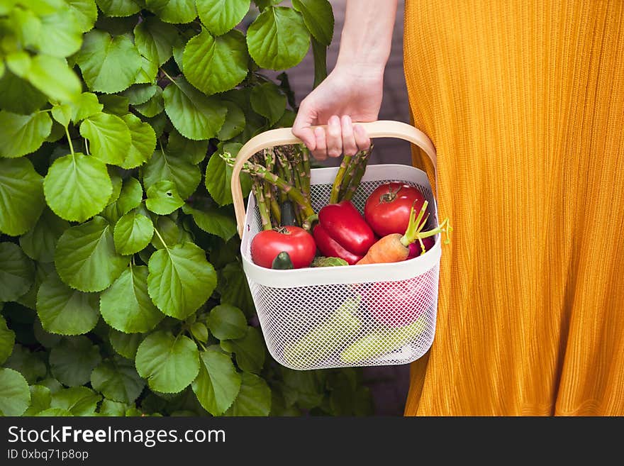 Basket with freshly grown vegetables in woman`s hand on background of green garden, photo for advertising and blogging. High quality photo