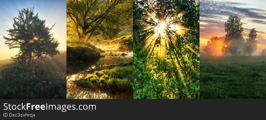 Collage of spring landscapes. collection of photos with morning sunshine