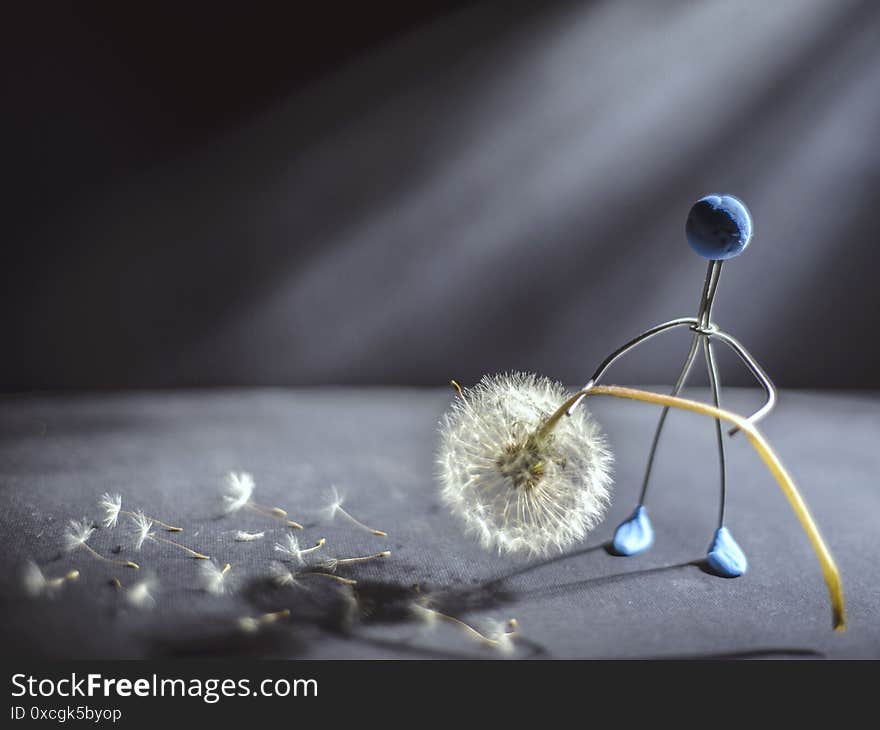 Baldness concept. An artificial man holds a dandelion flower in his hands, from which his flowers showered. Extinction of vital functions. Body aging. The concept of life and death. Mercy. Helping hand