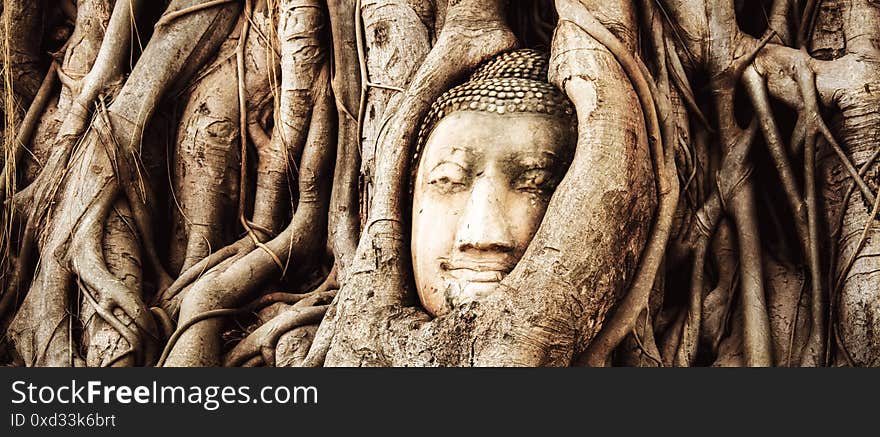 Buddha decay , THAILAND Ruins and Antiques at the Ayutthaya Historical Park , banner .