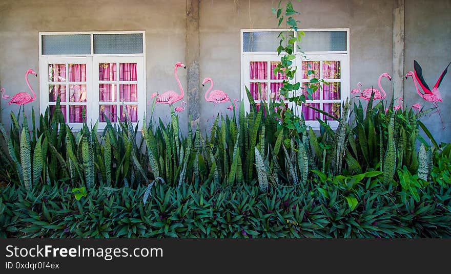 Acrylice painting of flamingos on house wall. Acrylice painting of flamingos on house wall