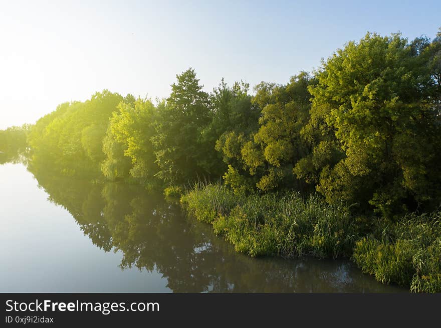 River and trees at sunset, the rays of the sun, evening landscape of nature. Aerial view in summer.