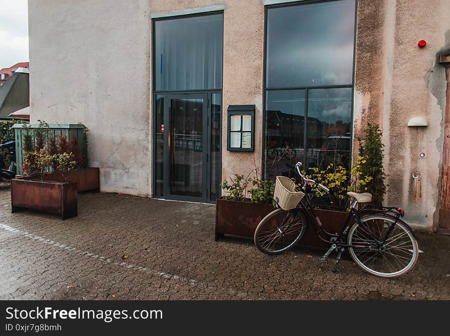 Bicycle Near Flowerpots And Facade Of