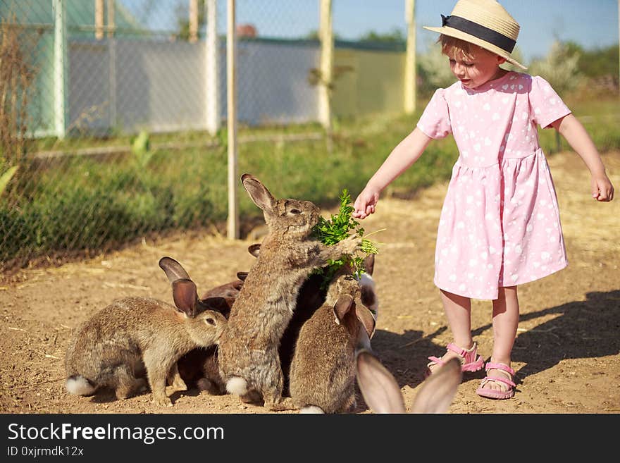 Little Girl Playing With Rabbits On A Sunny Summer Or Spring Day At Sunset.