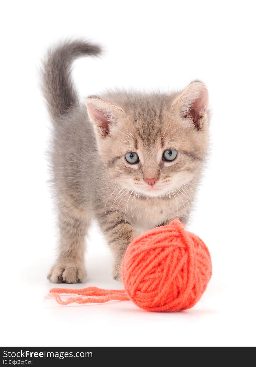 Little kitten playing with a ball of yarn isolated on white background