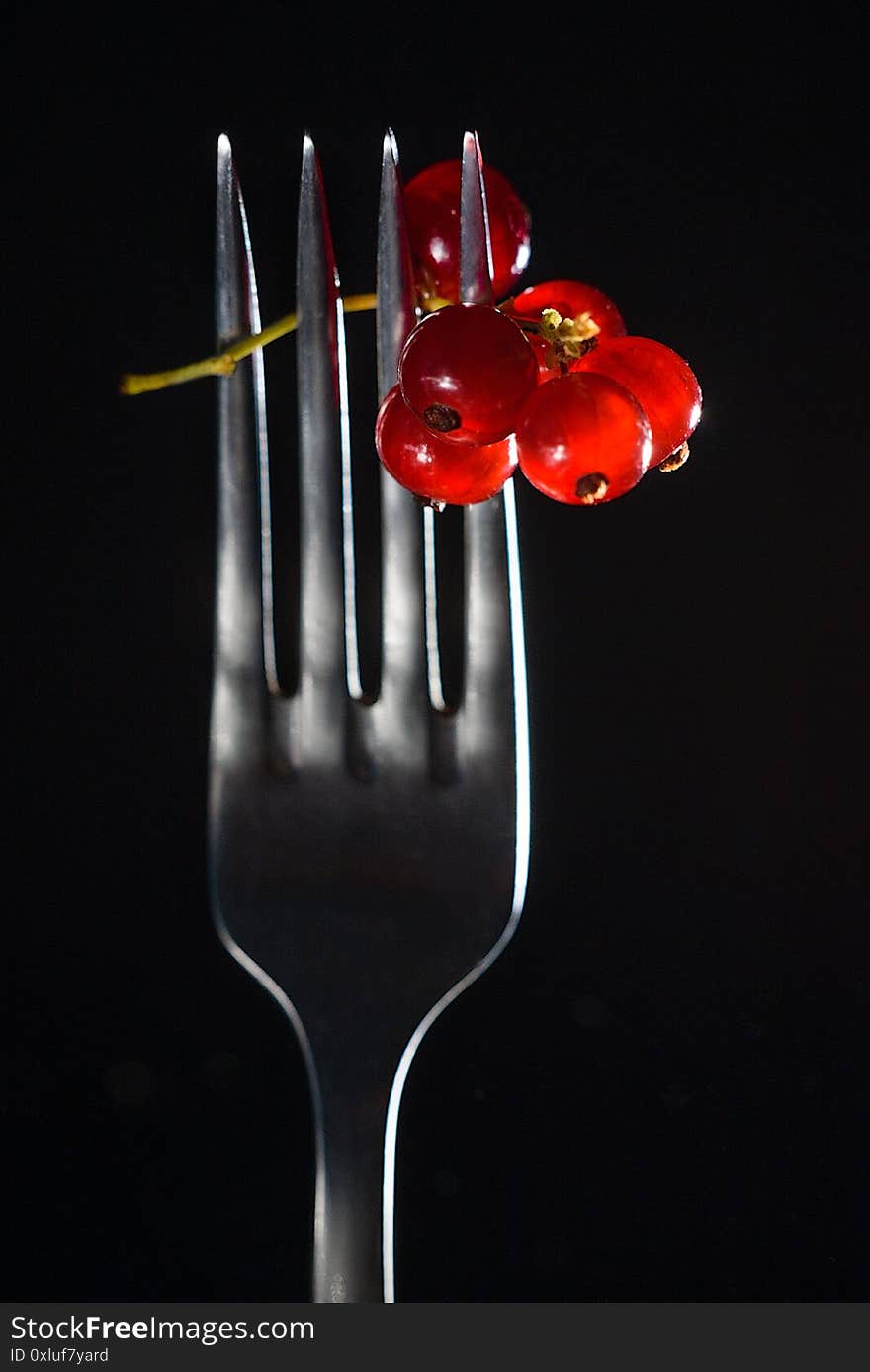 Shot of red currant berries on a fork on a black background