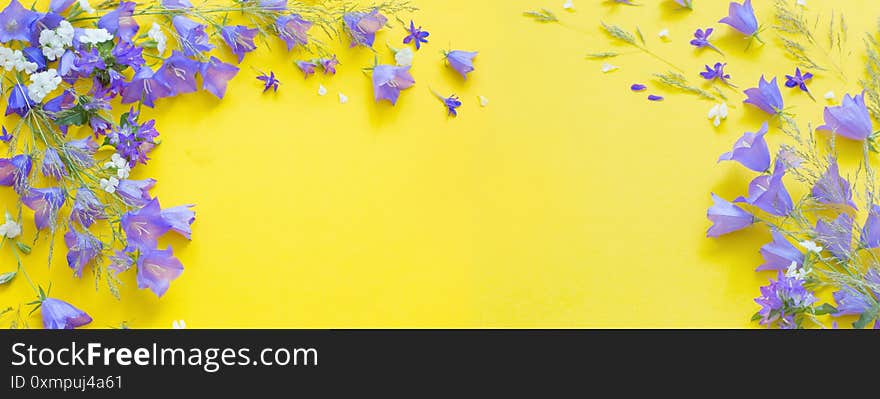 Blue wild flowers on yellow background