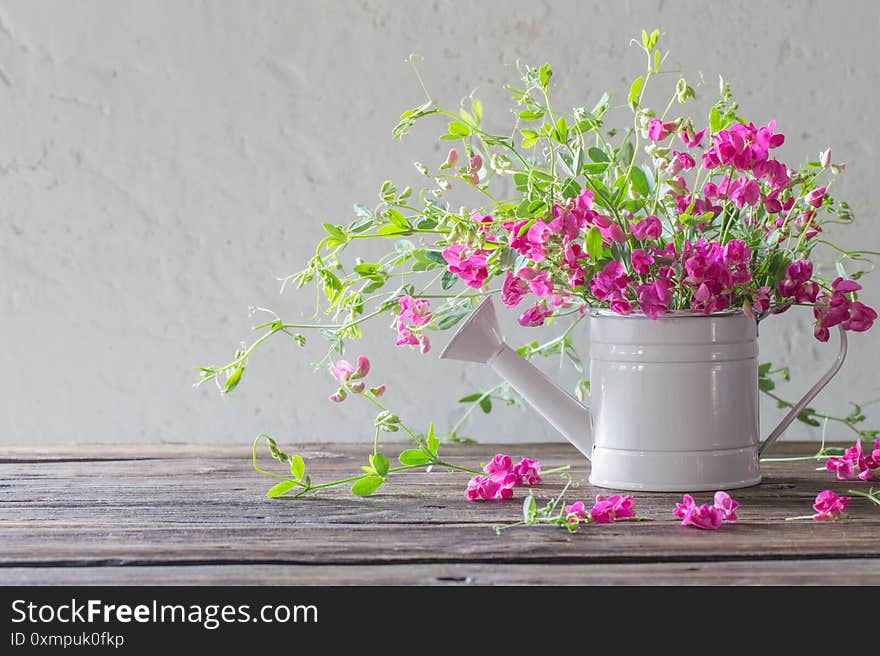 Summer Flowers In Watering Can On Background White Wall