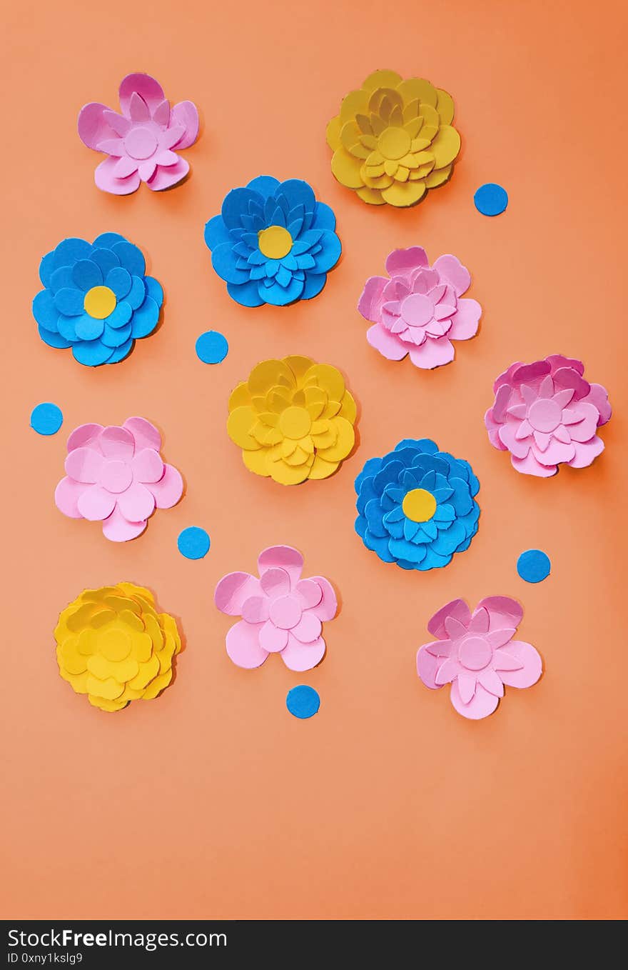 Paper Flowers Vertical On Colored Paper