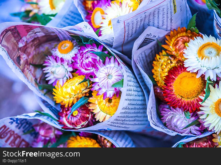 Package of straw flowers, Thailand