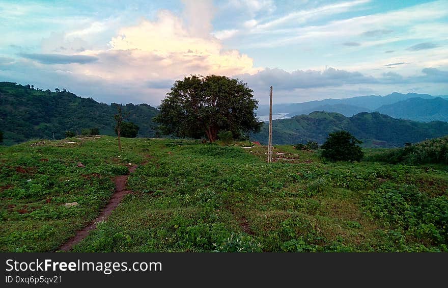 Beautiful natural Landscape with tree & Clouds, Multiple natural things mountains, trees, clouds, grass