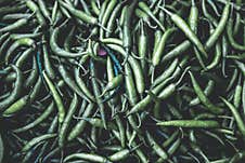 Close Up Of Green Chili Peppers. Green Food Pattern Stock Image