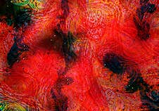 Abstract Colorful Red  Background Design, Red Texture Royalty Free Stock Photography