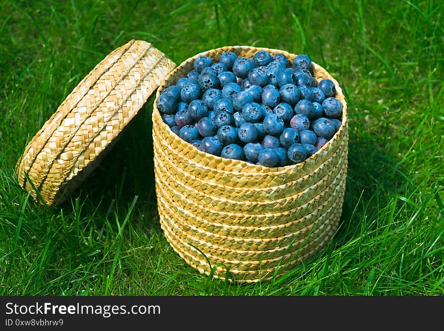 Blueberries in a wicker basket on green grass.