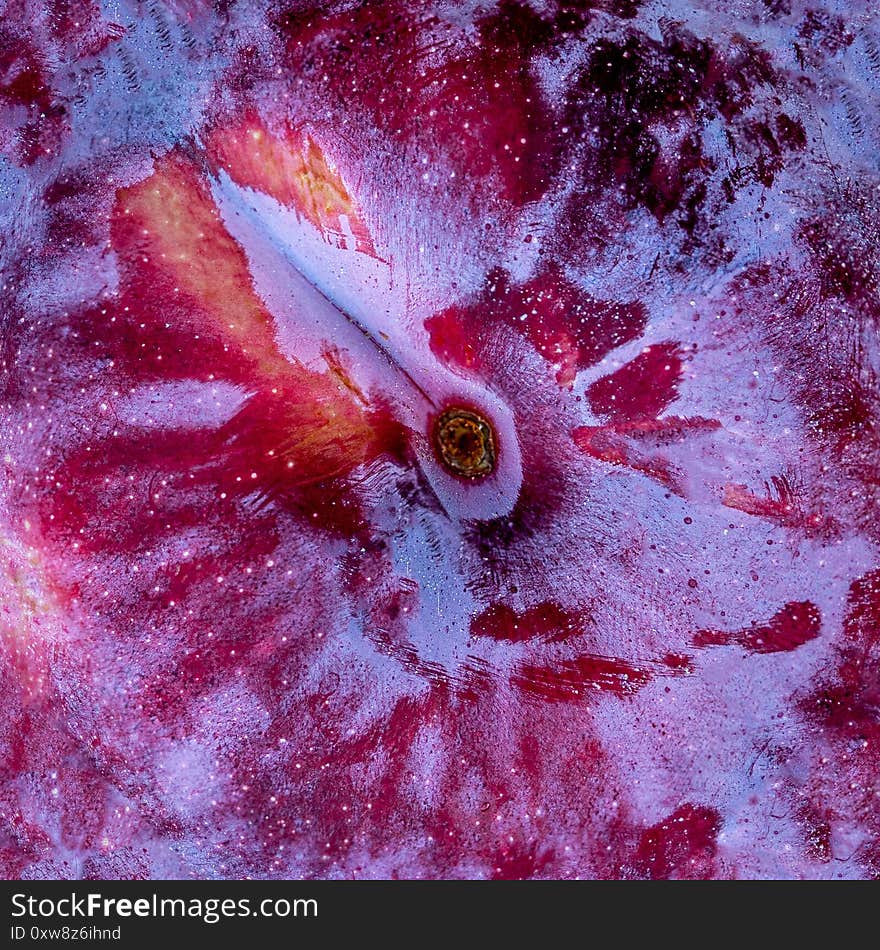 Plum fruits Background. Fresh blue plums pattern close-up..