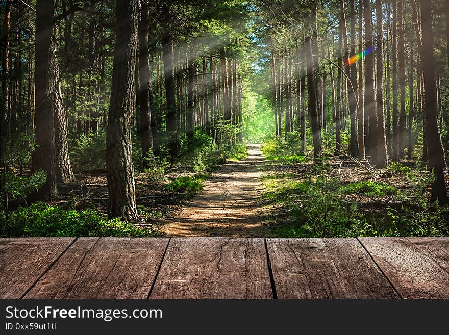 Wooden Table for Placing a Product in Front of a Forest wirh Footpath. Wooden Table for Placing a Product in Front of a Forest wirh Footpath