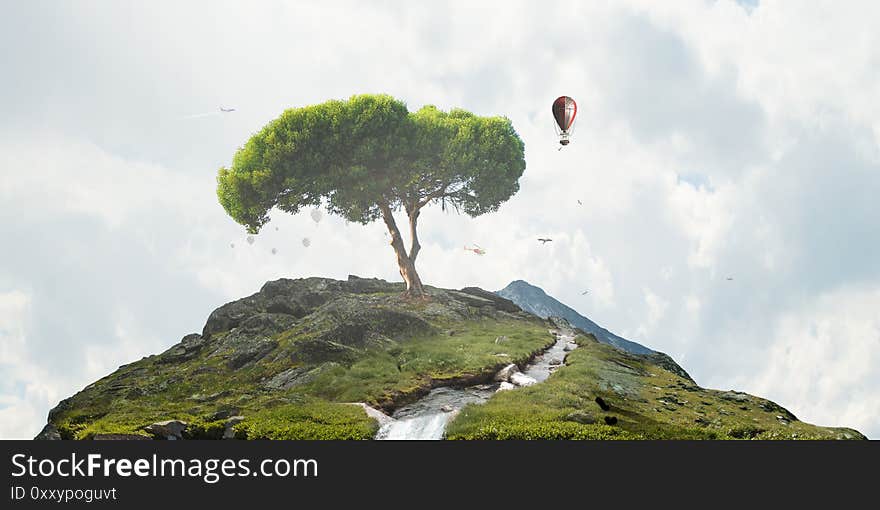 Image of tree and landscape