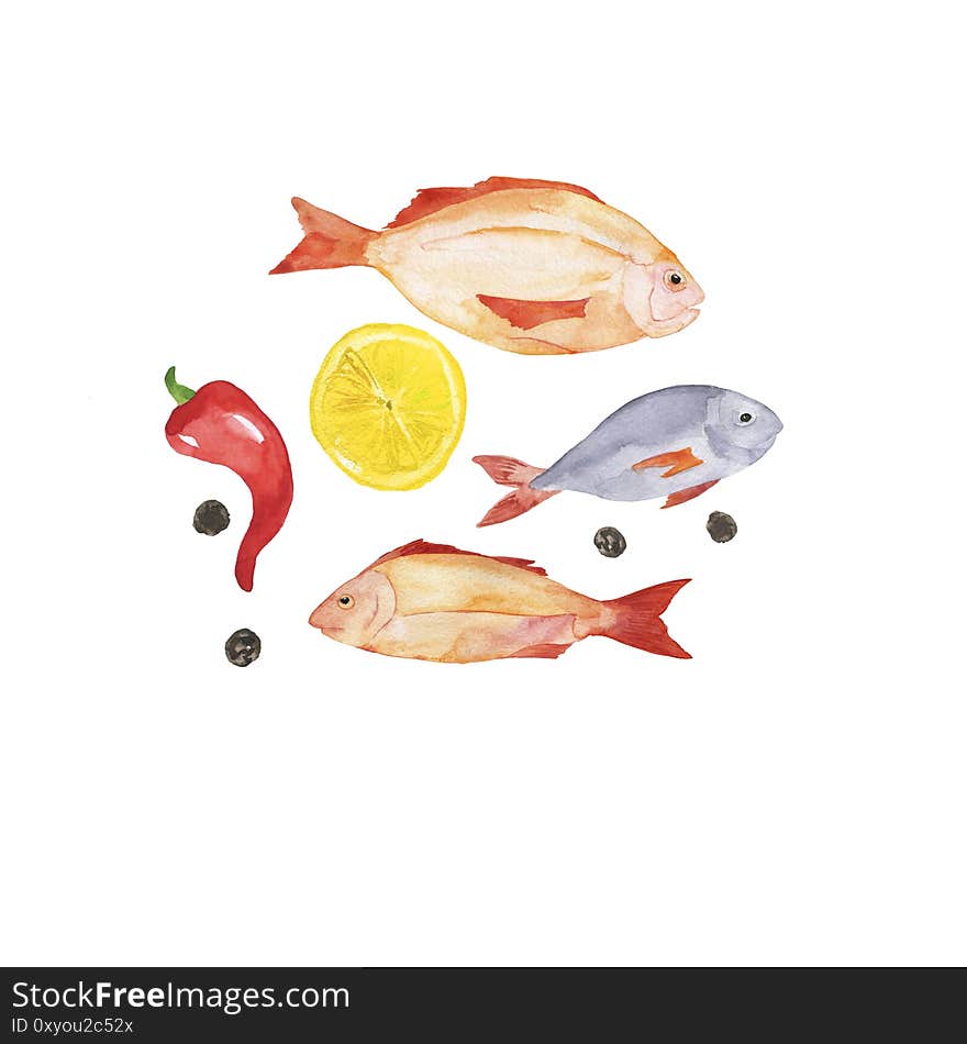 Fresh fish and spices set. Watercolor.