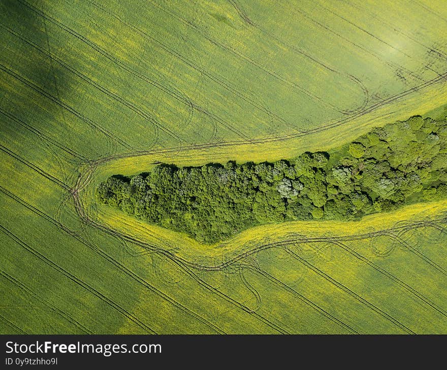 Aerial view of huge blooming yellow rapeseed fields in sunny summer day. Natural abstract pattern. Russia