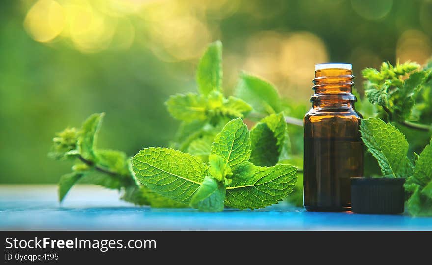 Peppermint essential oil in a small bottle. Selective focus. nature