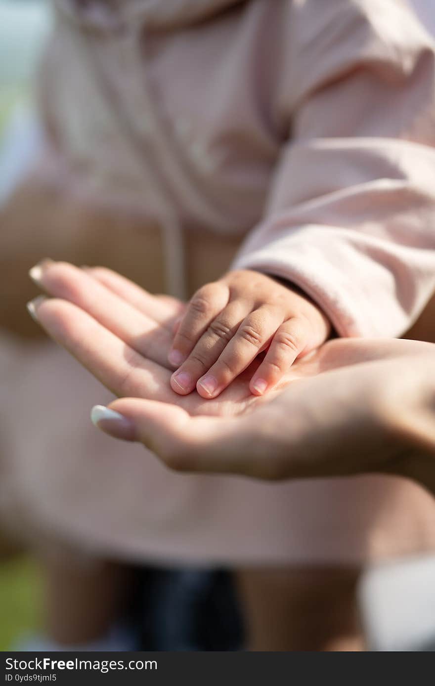 The Child Put His Hand On His Mothers Hand