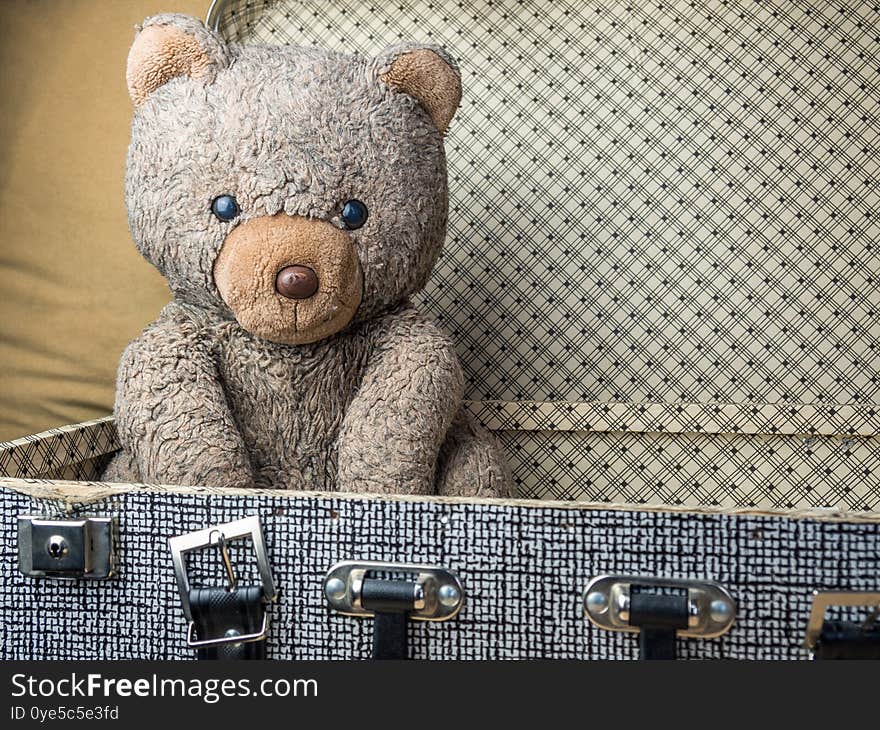 Old Teddy in a suitcase