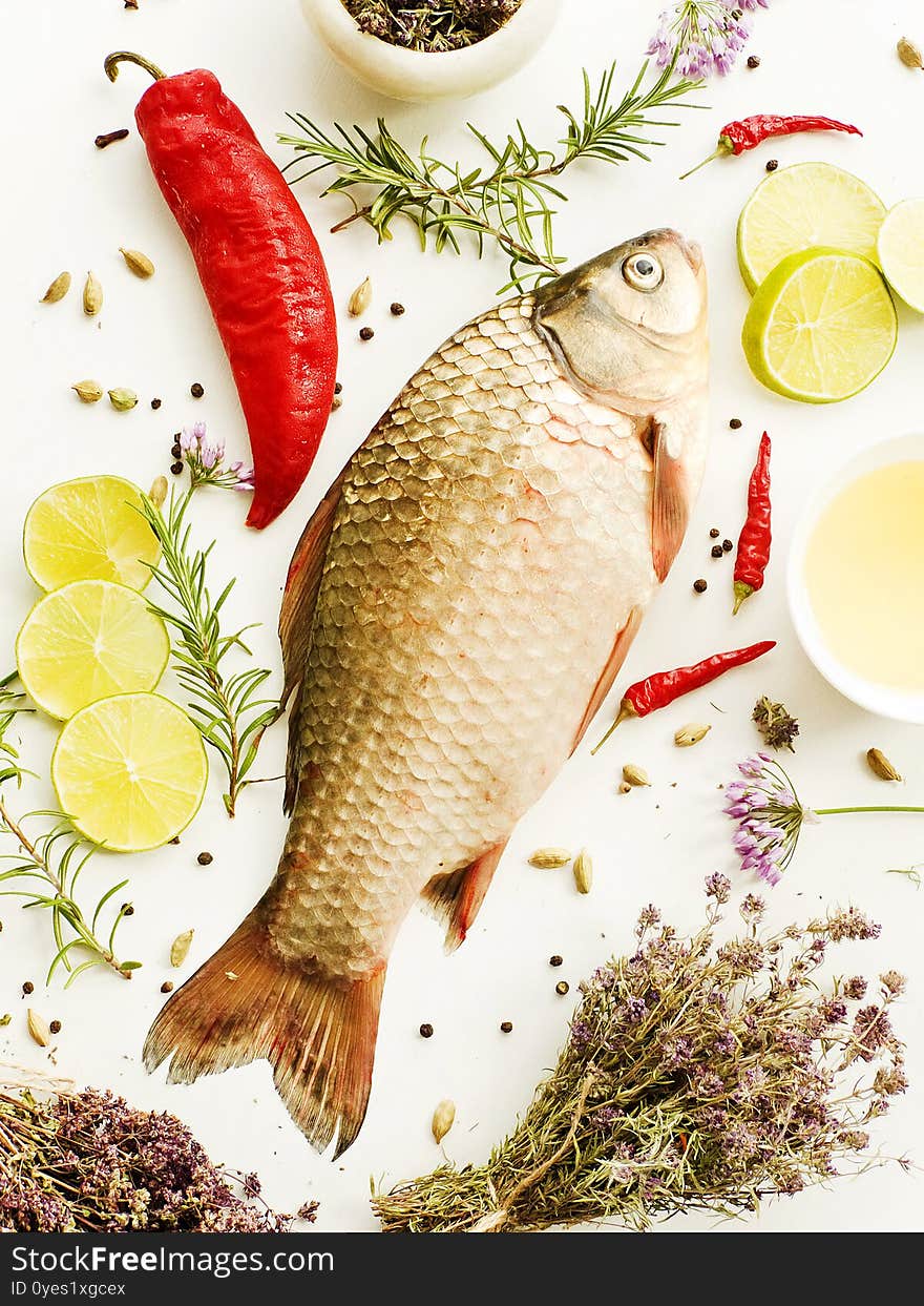 Crucian carp on white