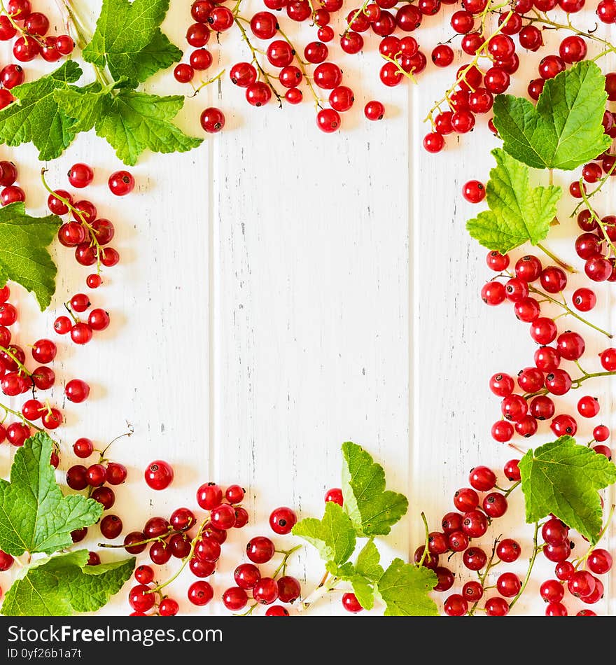 Fresh Redcurrant With Leaves, Copy Space