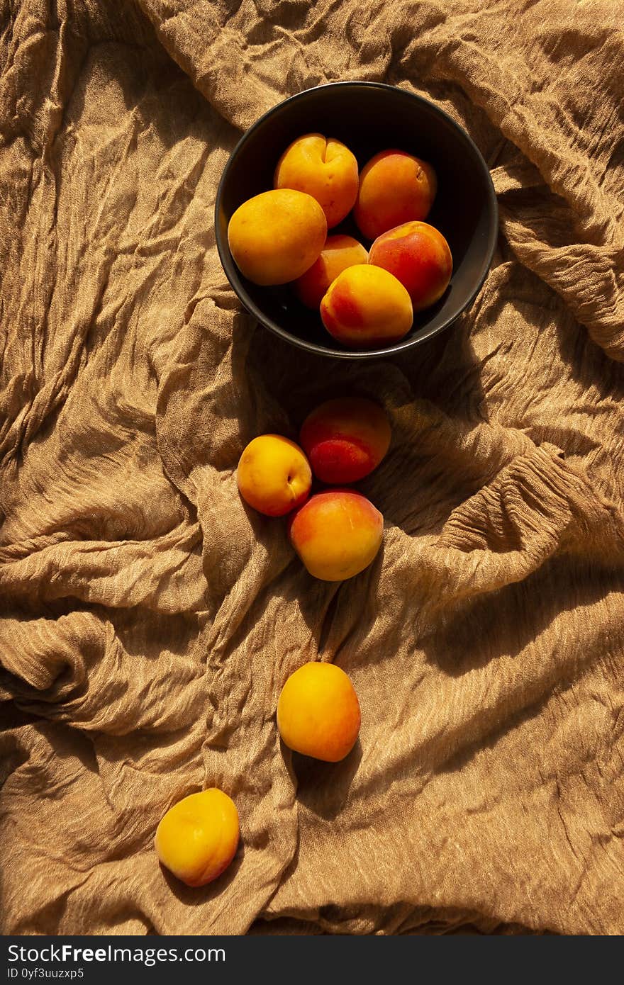 Group of apricot isolated on soft textured background. Fruit pattern. Pastel background.