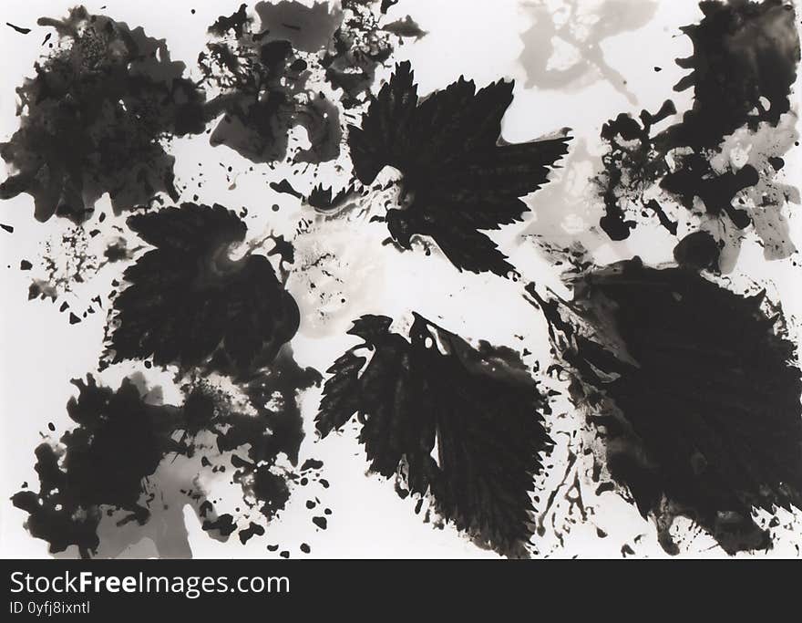 Photogram, an experimental piece of art where an image is made by painting with chemicals on light-sensitive paper. Floral motif. Contains grain and dust. Photogram, an experimental piece of art where an image is made by painting with chemicals on light-sensitive paper. Floral motif. Contains grain and dust.