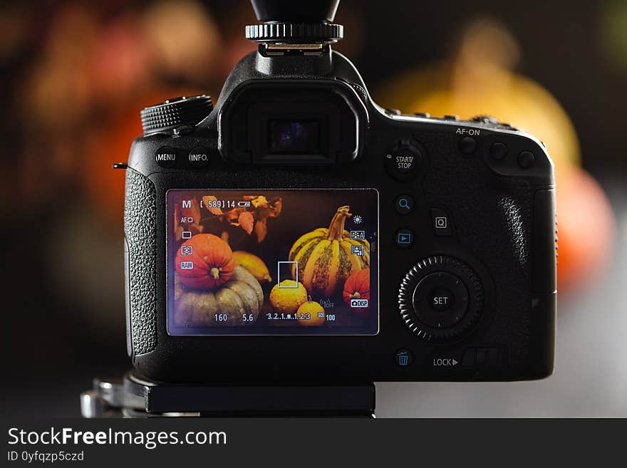 Autumn still life with pumpkins. Studio photo. Photo on the display of the camera