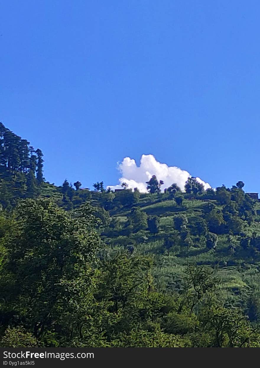 Himachal Pradesh Beautiful Village  Sun Green Sky