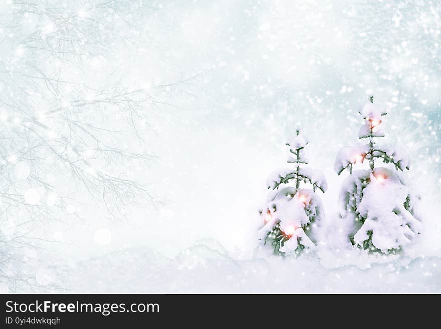 Frozen winter forest with snow covered trees. outdoor