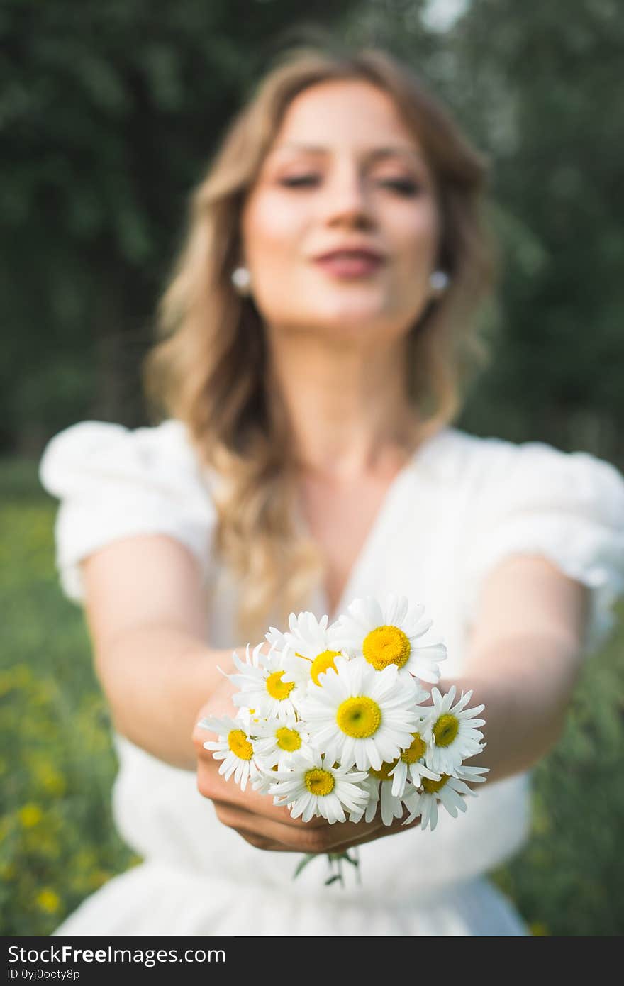 A Bouquet Of Field Daisies In Female Hands