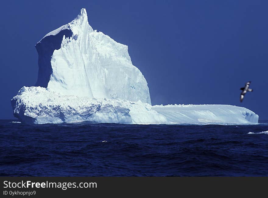 Iceberg in Antarctica