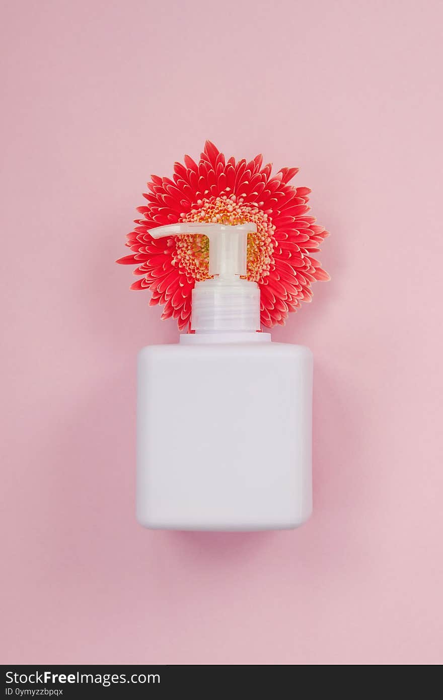 Cosmetic jar of cream on pink background with delicate gerbera flower