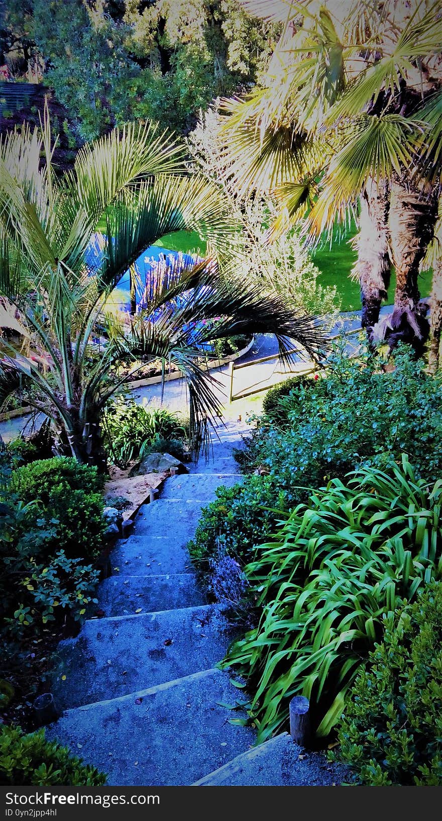 Panorama in a garden