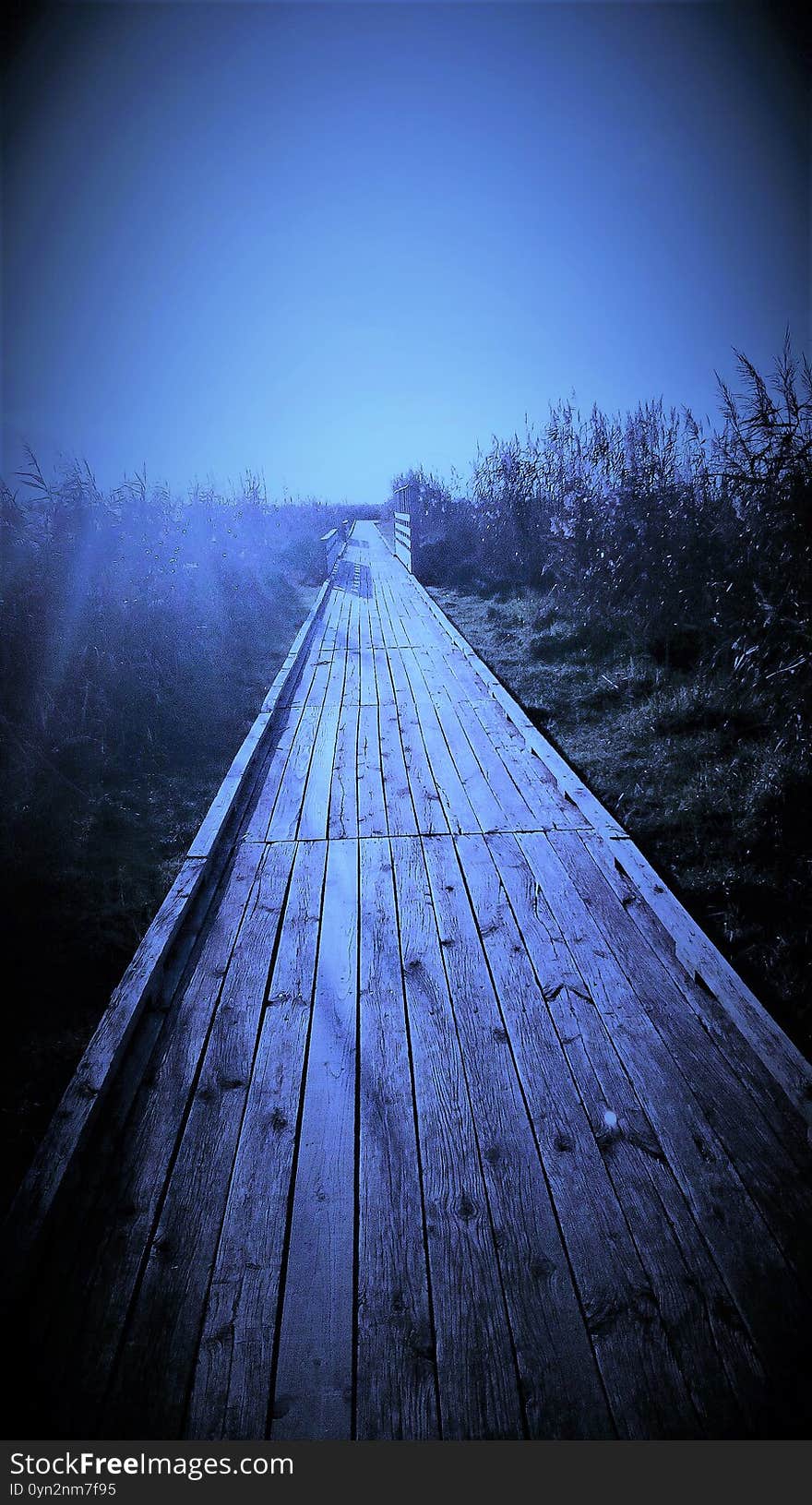 Panorama On A Path In The Marshes