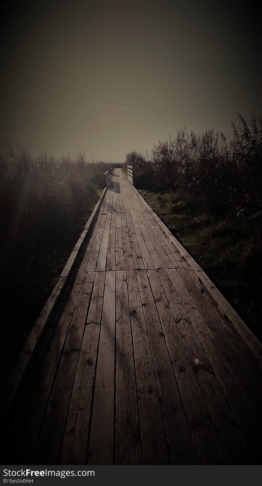 Panorama on a path in the marshes