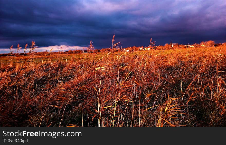 Panorama in the marshes
Photo taken in Loire Atlantique in Pays de la Loire in France.