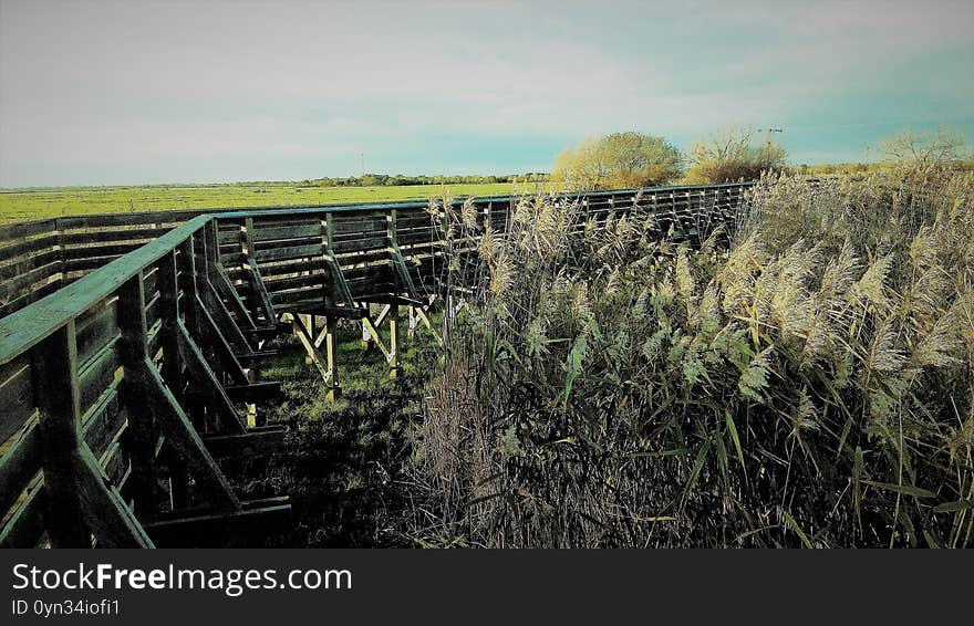 Panorama in the marshes
Photo taken in Loire Atlantique in Pays de la Loire in France. Panorama in the marshes
Photo taken in Loire Atlantique in Pays de la Loire in France.