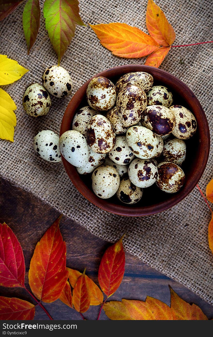 Quail Eggs In A Ceramic Bowl With Autumn Leaves On A Dark Background